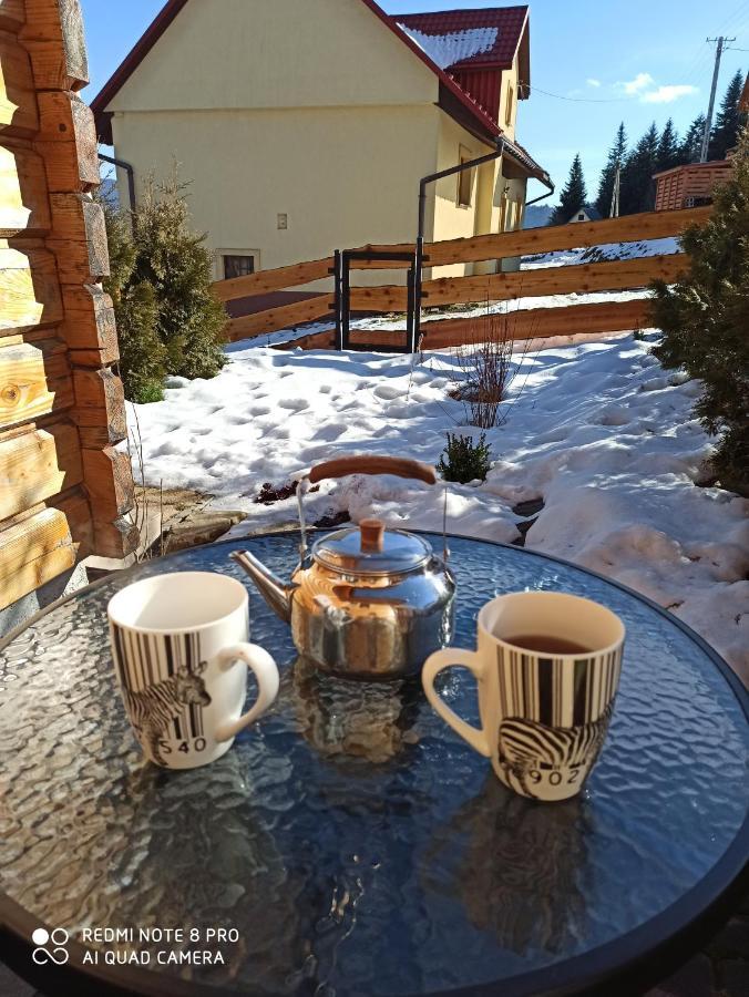 Chata Z Widokiem Na Babia Gore Pewel Wielka Eksteriør billede